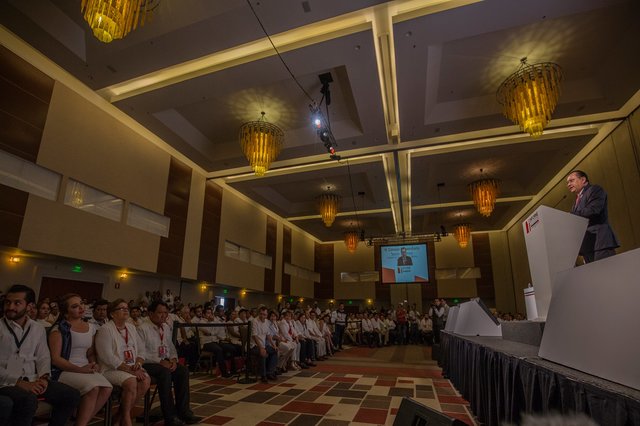 Primer Informe de Labores